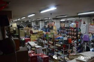 桃花绽放迎客来，秦人村落笑声多——互联网创新为乡村旅铺就“云端”致富路